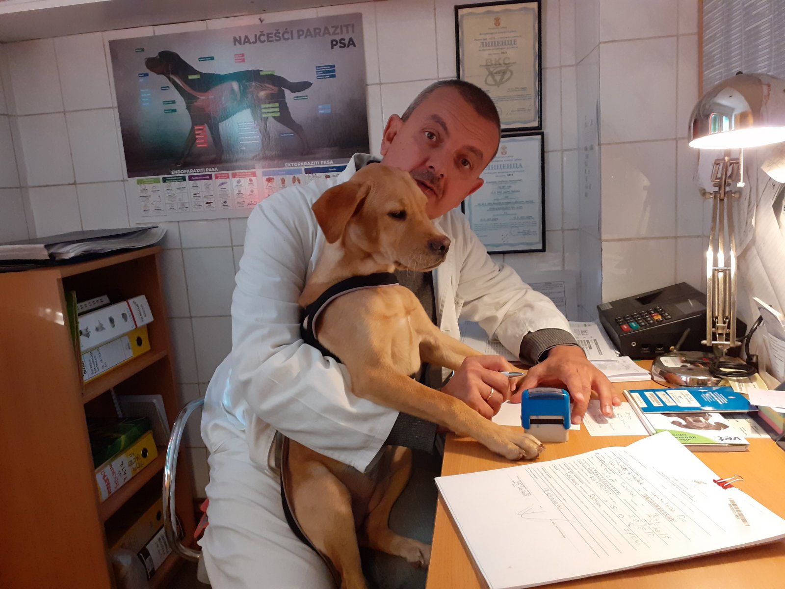 Др вет.спец. Владимир Недељковић